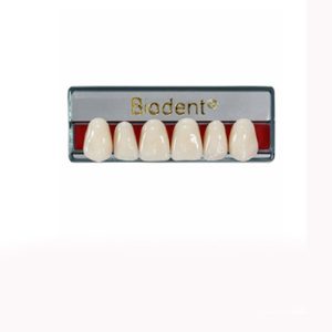 Dientes Biodent A1