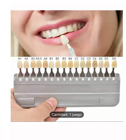 Muestras juego de dientes marca vita