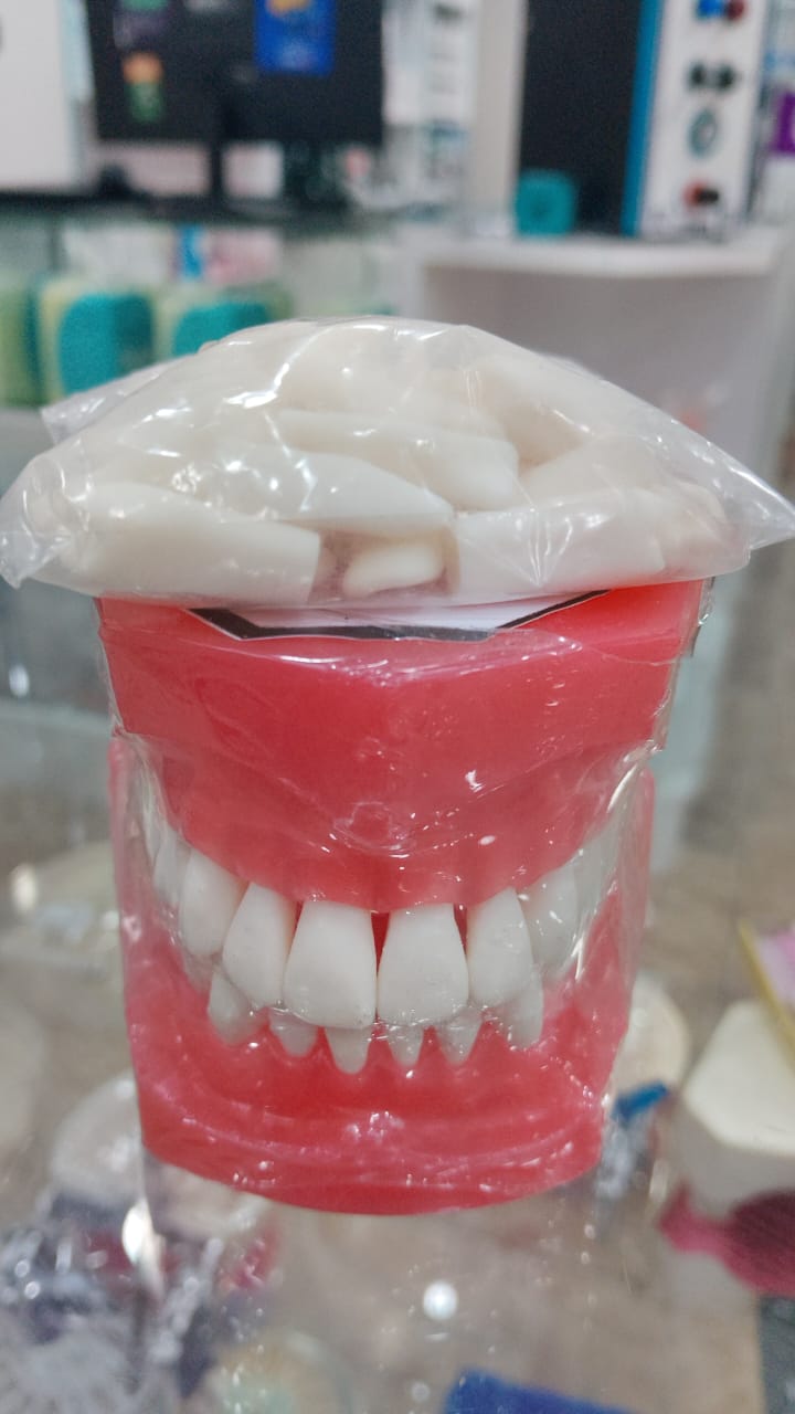 MODELO DE IVORINA CON REPUESTOS